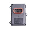 0896553 METZGER_G LIGHT MODULE