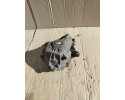 Front differential Mercedes Benz GLC X253 C253 2213307600 Catalog number of the part 2213307600