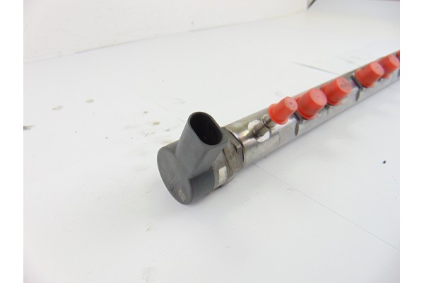 780912704 RAMPA INYECTORA BMW SERIE X1 (E84)