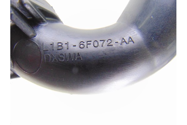 L1B16F072AA TUBO FORD PUMA