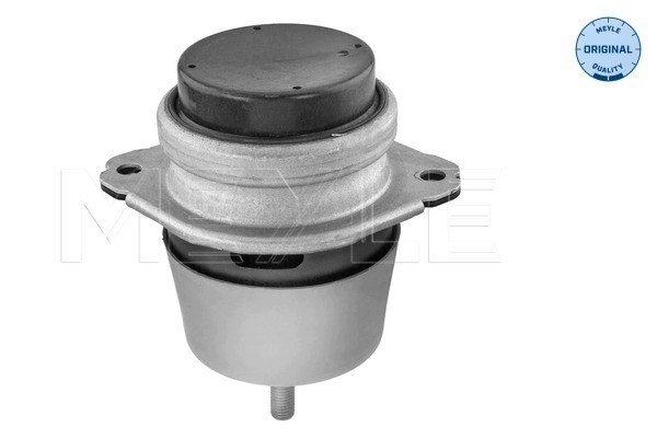 Engine cushion 100 199 1187 for AUDI Q7 VW TOUAREG 5 0D 6 0 6 0D Car type passenger cars