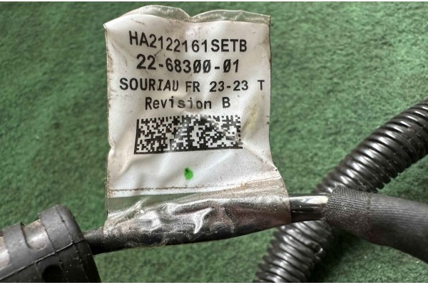 Generador Pulsor CARRIER IEC60034-1 54-00636-31 / 54-00636-34 / 54-006