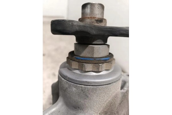 Reductor trasero BMW Serie 7 (G11, G12) 984636902 gasolina 390kW 2021