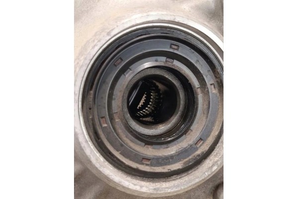 Reductor trasero BMW Serie 7 (G11, G12) 984636902 gasolina 390kW 2021
