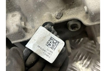 Reductor trasero FORD USA LX674000CE 2.0L gasolina 135kW 2021