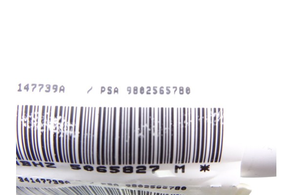 9802565780 AIRBAG CORTINA DELANTERO IZQUIERDO CITROEN DS5