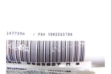 9802565780 AIRBAG CORTINA DELANTERO IZQUIERDO CITROEN DS5