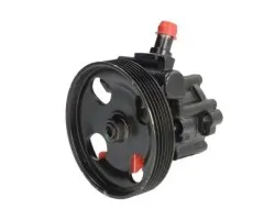 POWER STEERING PUMP 55 1247 LAUBER