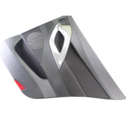 96875272ZD GUARNECIDO PUERTA TRASERA DERECHA CITROEN DS5