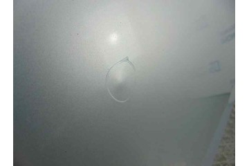 PLATA CAPO PEUGEOT 207 X-Line 2006 PLATA 176729 PEUGEOT - 2