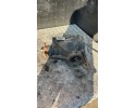 Rear differential A4473501314 Mercedes Benz VITO Full body 202 Catalog number of the part A4473501314