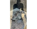Rear differential A4473501314 Mercedes Benz VITO Full body 202 Car type passenger cars