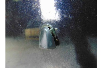 NEGRO CAPO VOLVO S40 BERLINA