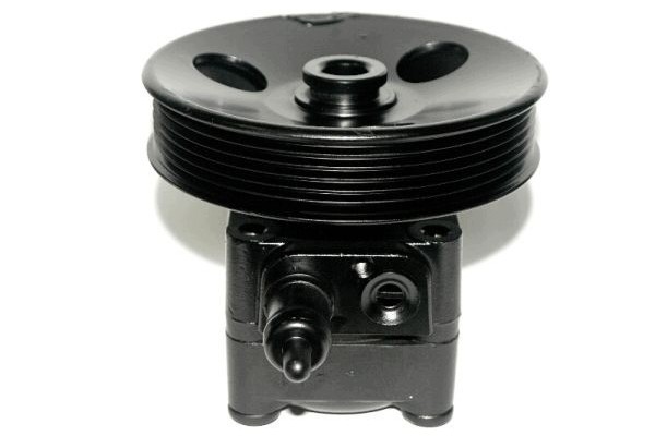 LAUBER 55 9685 Hydraulic pump for steering gear new