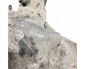 2021 Chevrolet Silverado Front Differential 84958558 Car type trucks