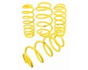 APEX LOWERING SPRINGS 35mm SEAT IBIZA 6J