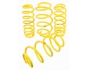 APEX LOWERING SPRINGS 40mm VOLKSWAGEN PASSAT B6 B7 station wagon