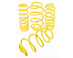 APEX LOWERING SPRINGS 40mm VOLKSWAGEN PASSAT B6 B7 station wagon