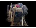 Honda K20A3 2 0 benzyna silnik kompletny z penym osprzetem gotowy Engine type petrol