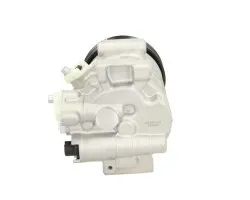 Compresor de aire acondicionado BV Psh 090.195.117.050