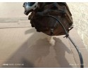 Rear reducer INFINITI EX ND1059 2 99L diesel 175kW 2010 Catalog number of substitutes 38301EG10E 3831100048