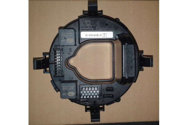 Hydronic 24V heating controller module
