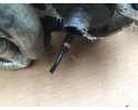 WEBASTO BENTLEY GT LIFT 3W0815005G Catalog number of the part WEBASTO BENTLEY GT LIFT 3W0815005G