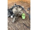 BRIDGE DYFER REAR RANGE ROVER EVOQUE II L551 22R 2 0D JAN POZNAN Catalog number of the part K8D24N053AC