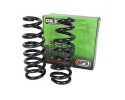 Springs Front 50mm 60 100kg Ford Ranger 22 Everest 22 VW Amarok 23 EFS