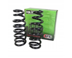 Springs Front 50mm 60 100kg Ford Ranger 22 Everest 22 VW Amarok 23 EFS