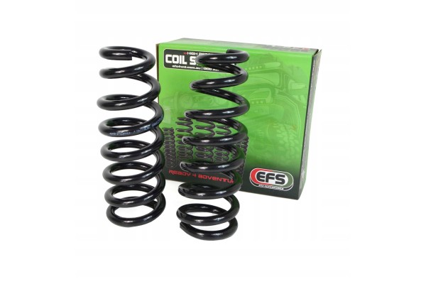 Springs Front 50mm 60 100kg Ford Ranger 22 Everest 22 VW Amarok 23 EFS