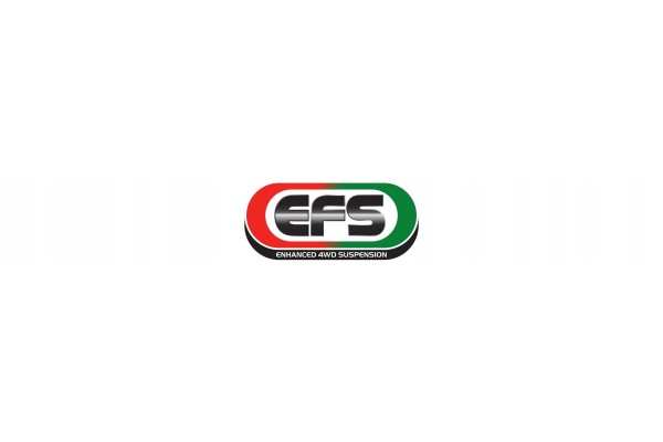 Springs Front 50mm 60 100kg Ford Ranger 22 Everest 22 VW Amarok 23 EFS Part manufacturer EFS 4WD