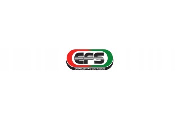 Springs Front 50mm 60 100kg Ford Ranger 22 Everest 22 VW Amarok 23 EFS Part manufacturer EFS 4WD
