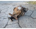 Complete differential BMW 5 E60 E61 3310 7562712 2 56
