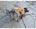 Complete differential BMW 5 E60 E61 3310 7562712 2 56 Car type passenger cars
