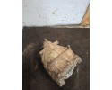 Diferencial trasero Mercedes-Benz E W211 A2303510508