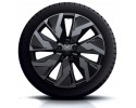 Winter wheels 20 RENAULT RAFALE 245 45 R20 GOODYEAR Castellet OE