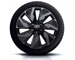 Winter wheels 20 RENAULT RAFALE 245 45 R20 GOODYEAR Castellet OE