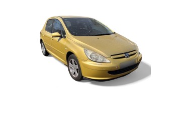 PEUGEOT 307 (S1)(04.2001) XS