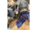 Rear reducer VOLVO XC70 CROSS COUNTRY P30759532 2 4L diesel 136kW 2007 Part manufacturer Volvo OE