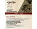 SKRZYNIA BIEGOW FIAT PANDA 1 2 SPRAWDZONA Transmission type manual