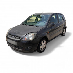 FORD FIESTA (CBK) Ambiente