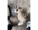 Reductor trasero BMW X5 (E53) 1428651 3.0L diésel 135kW 2003