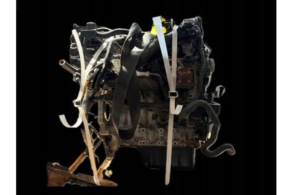 Ford UGJD 1 5 diesel silnik kompletny z penym osprzetem gotowy Part manufacturer Ford OE