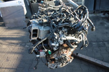 ENGINE COMPLETE AUDI 2 0 TDI 50TYS KM DEUC Catalog number of the part DEUC