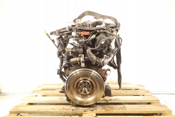 ENGINE FORD C MAX II MK2 2 0TDCI 115KM WEEKLY TEST Catalog number of the part TYDA