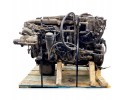 81005066488 MAN Engine Part manufacturer MAN OE