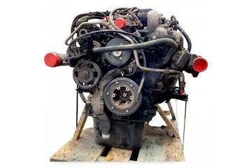 81005066488 MAN Engine Catalog number of the part 81005066488