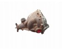 2004 Jaguar X Type Rear Differential W4CAF3 Catalog number of the original 562A
