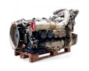 81005016299 MAN Engine Part manufacturer MAN OE